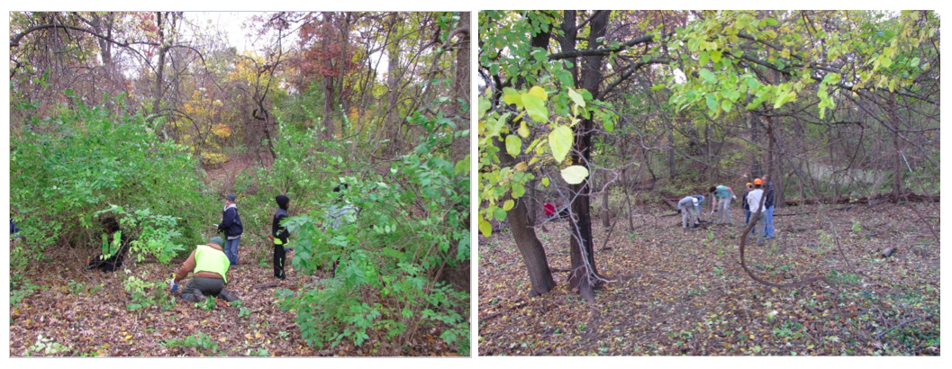 Before .... and after