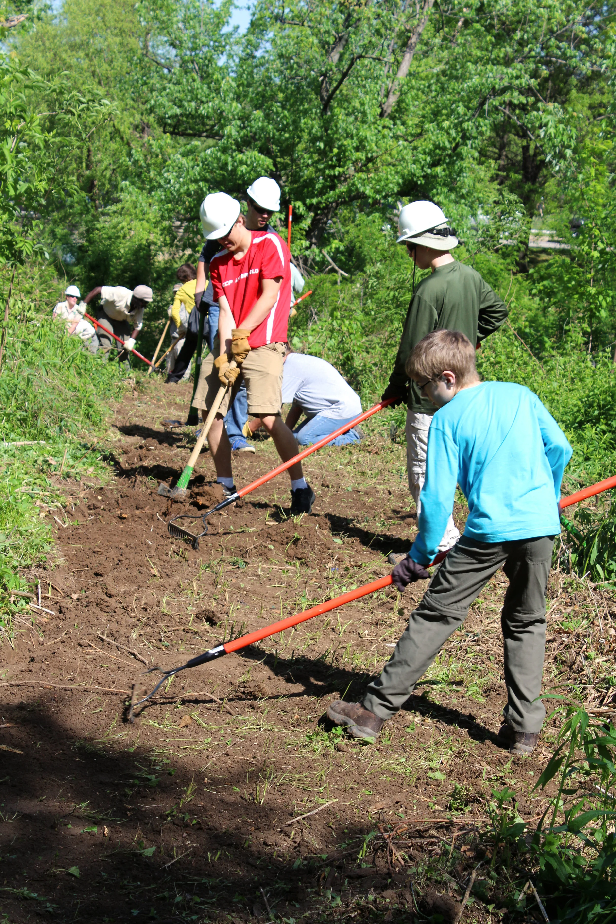 Creating a Round Lake Vista in Forest Park