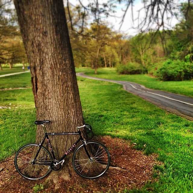  " My first day with the new Bianchi"  