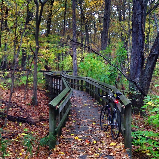  " Loved the bridges and cyclocross paths that meandered through this section of Forest Park."  
