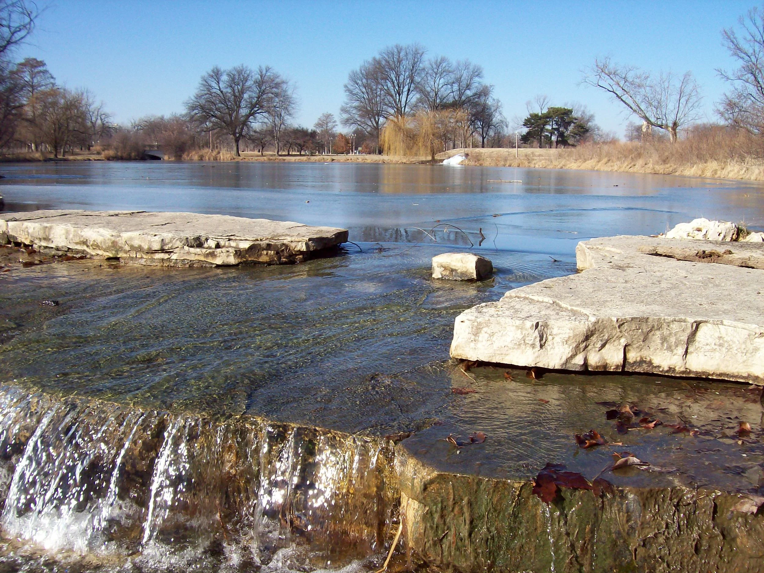 More to Explore: Deer Lake Savanna