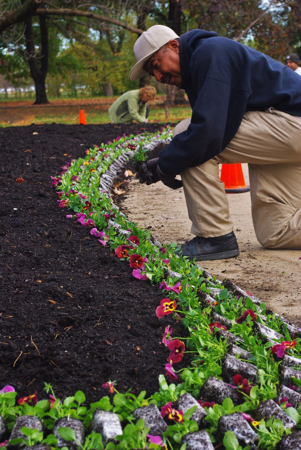 Planting pansies in the boathouse flower beds 2014.JPG