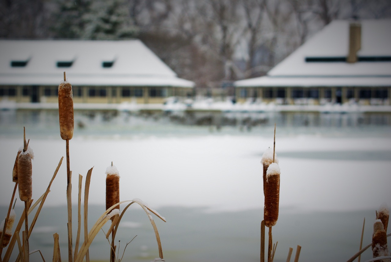  The Boathouse in winter. Photograph by Patrick Greenwald. 