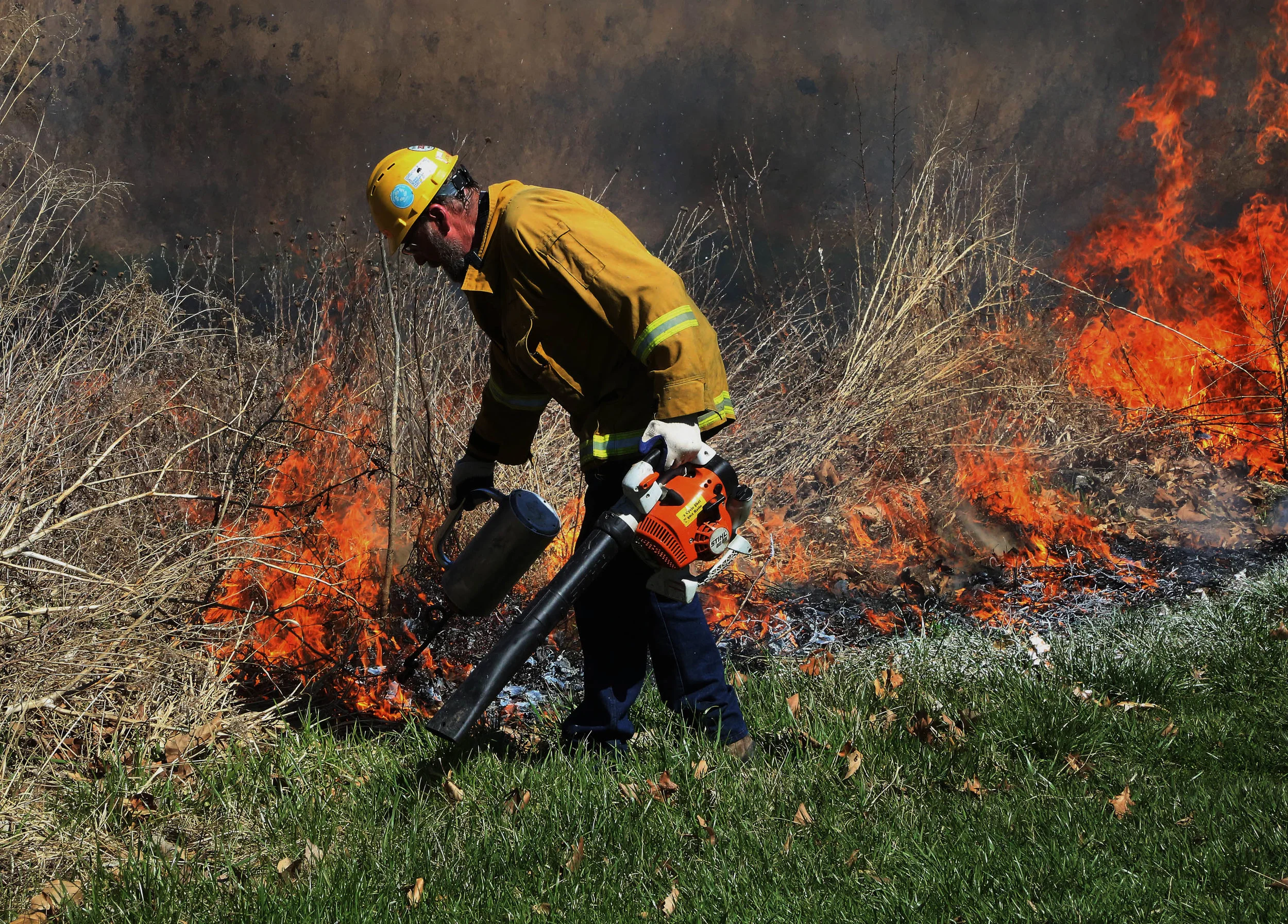 Recent Controlled Burns in Forest Park Improve 17.5 Acres of Wildlife Habitat