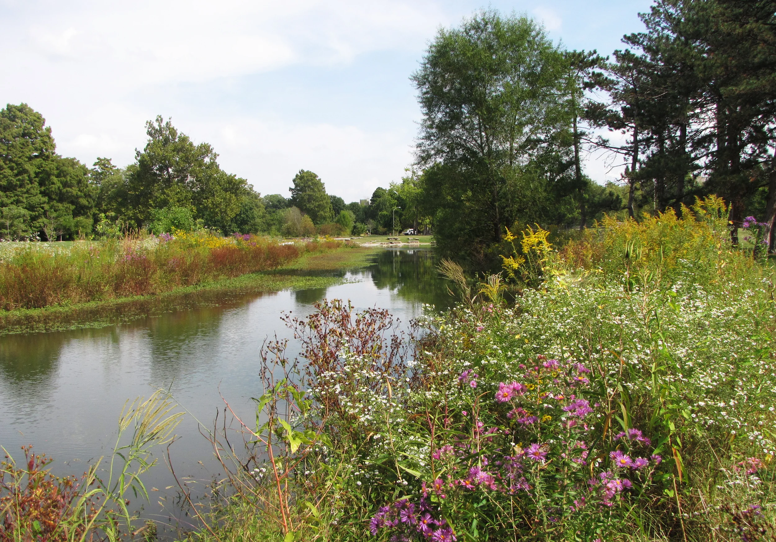 This Forest Park photo shows what our butterfly garden will look like, when complete.