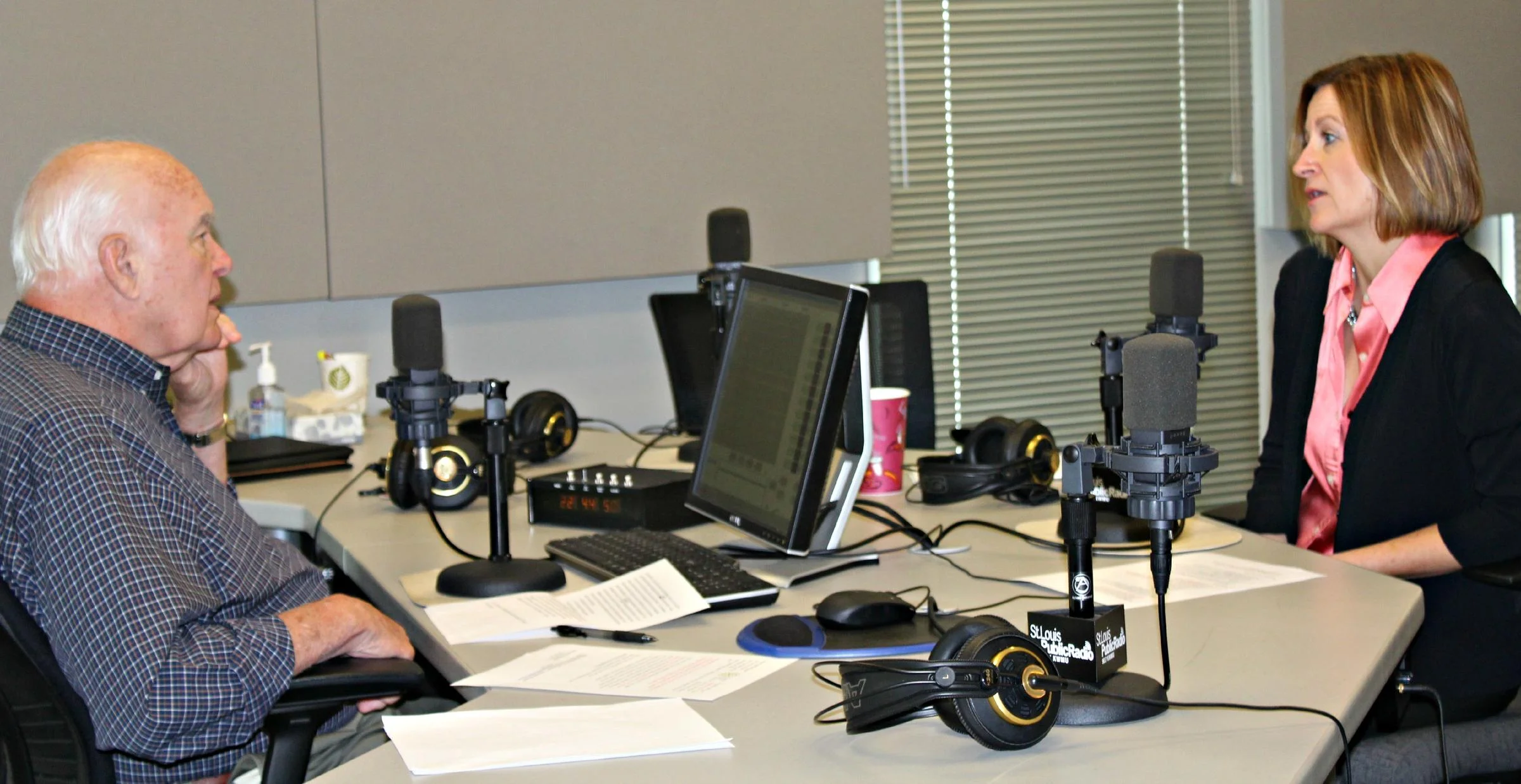 Lesley Hoffarth Discusses Forest Park Forever on "St. Louis on the Air"