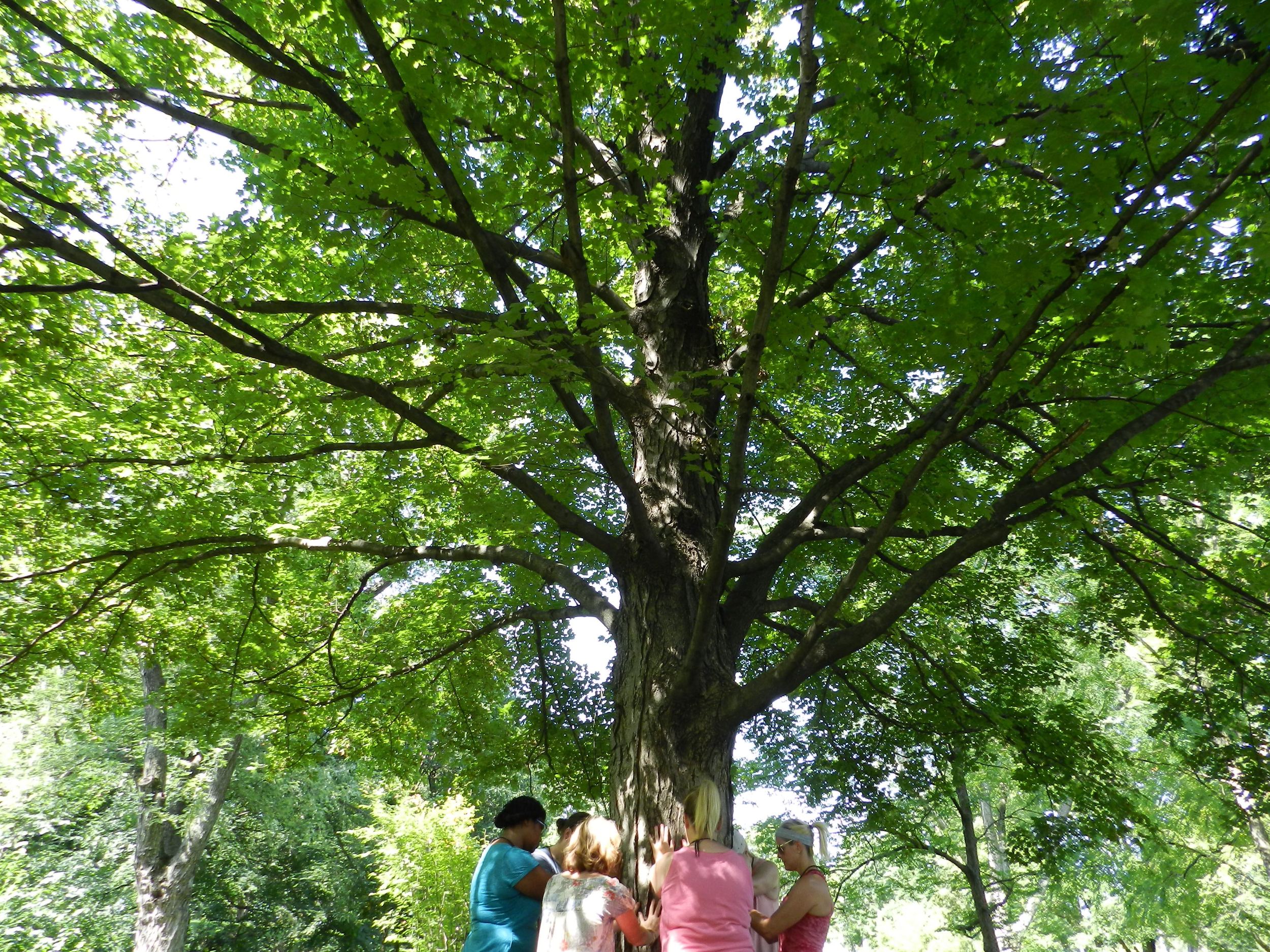 DSCN3040.jpg