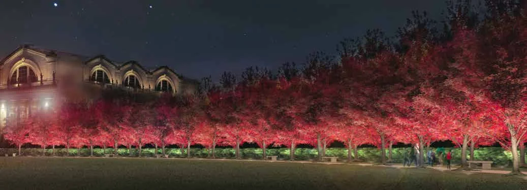 Forest Park Forever Funds Installation of Efficient New Lighting System Above Art Hill