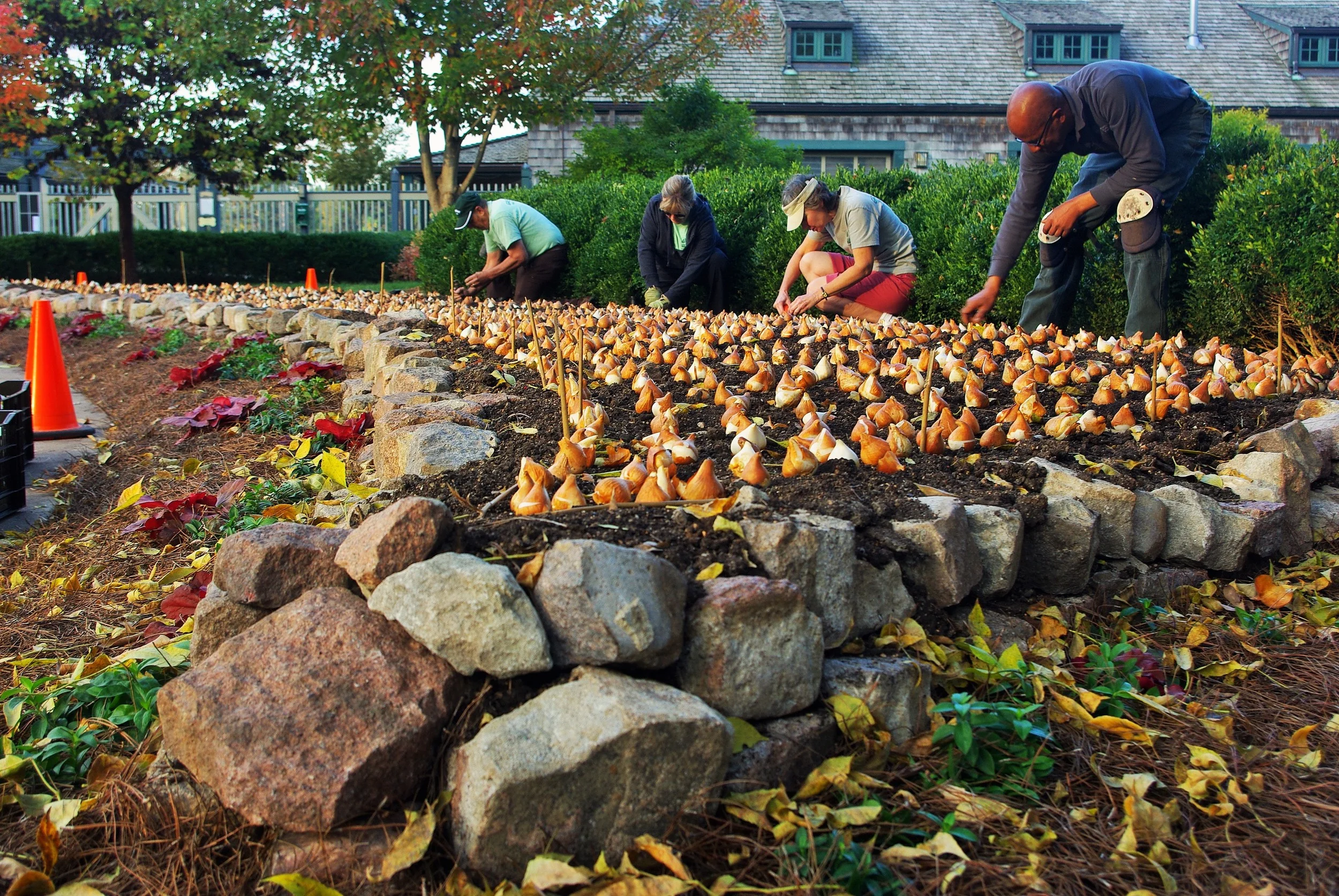 Beauty at the Boathouse: The Art and Science of Annual Plantings in Forest Park
