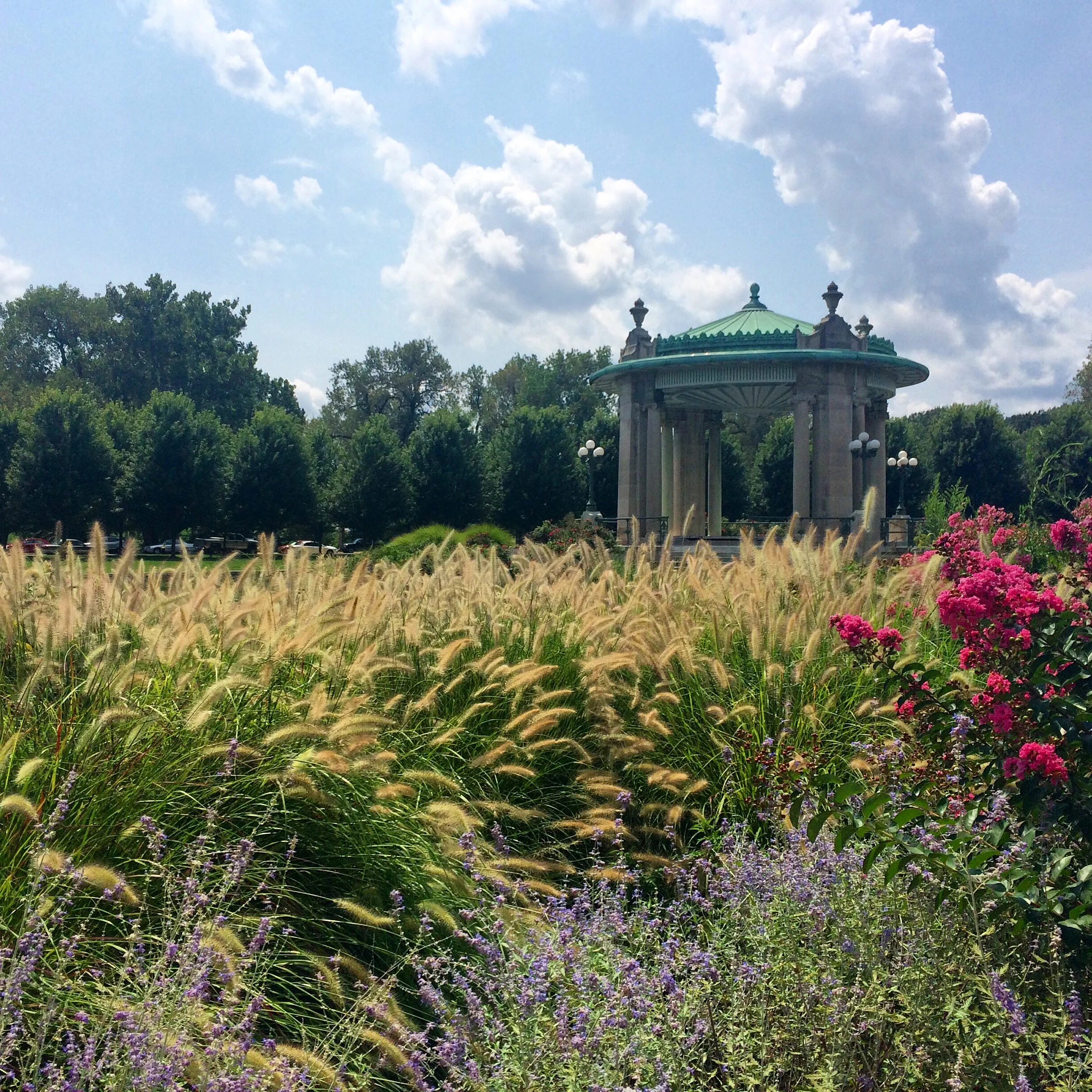 Forest Park Forever Launches Special Artist in Residence Program to Mark the Organization’s 30th Anniversary