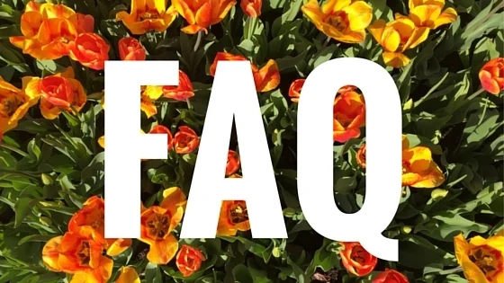 Artist in Residence Program: Frequently Asked Questions