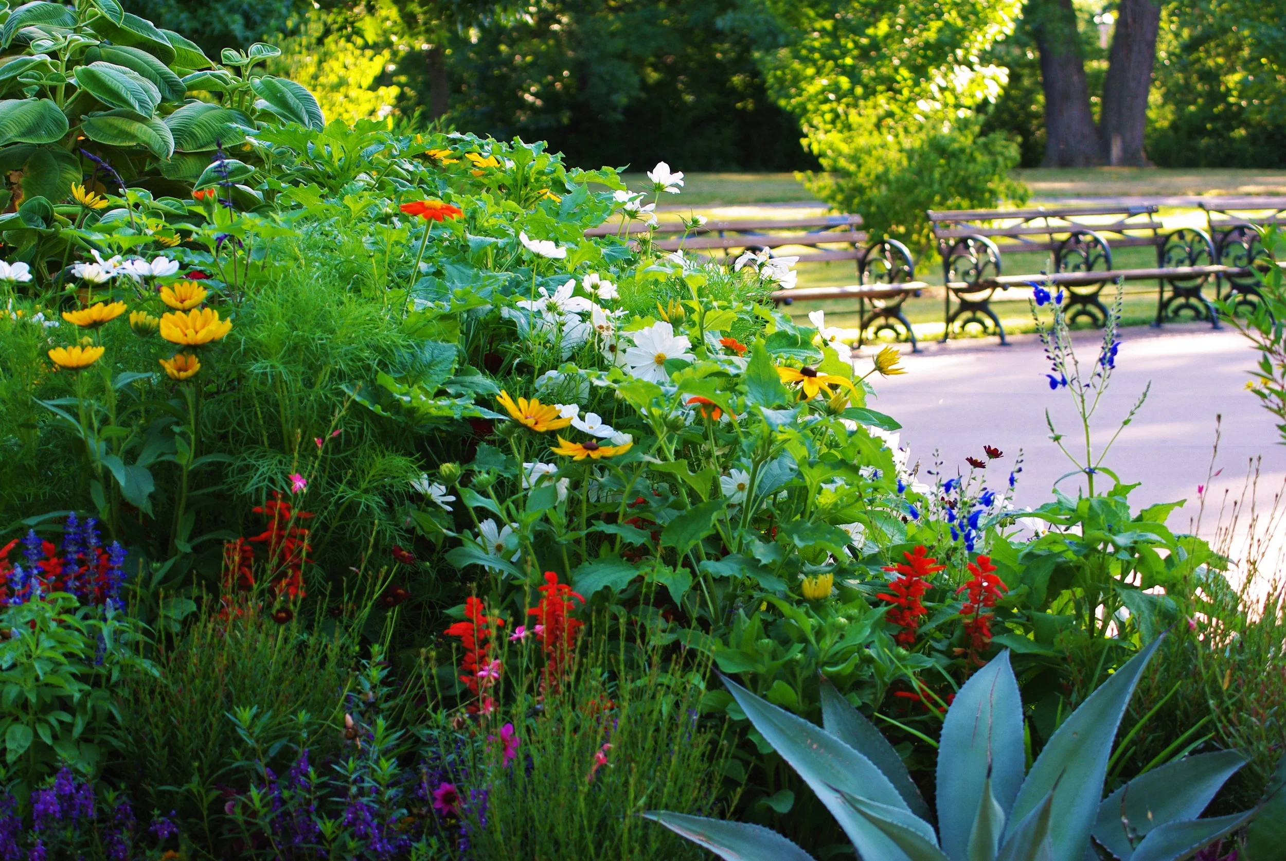 Diversity in Planting: Designing for Pollinators in Our 2016 Summer Display