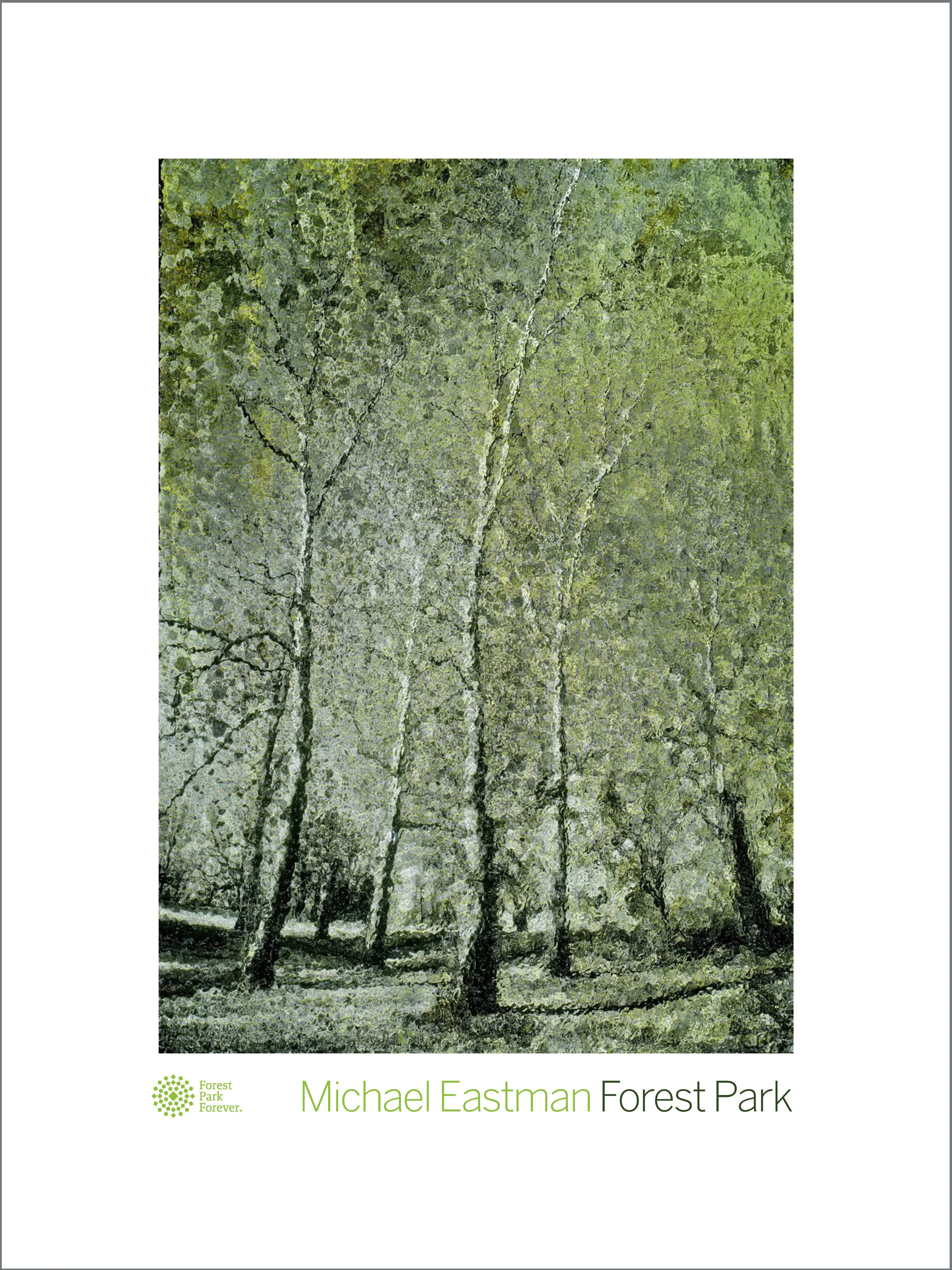 Poster-FPF-#27.jpg