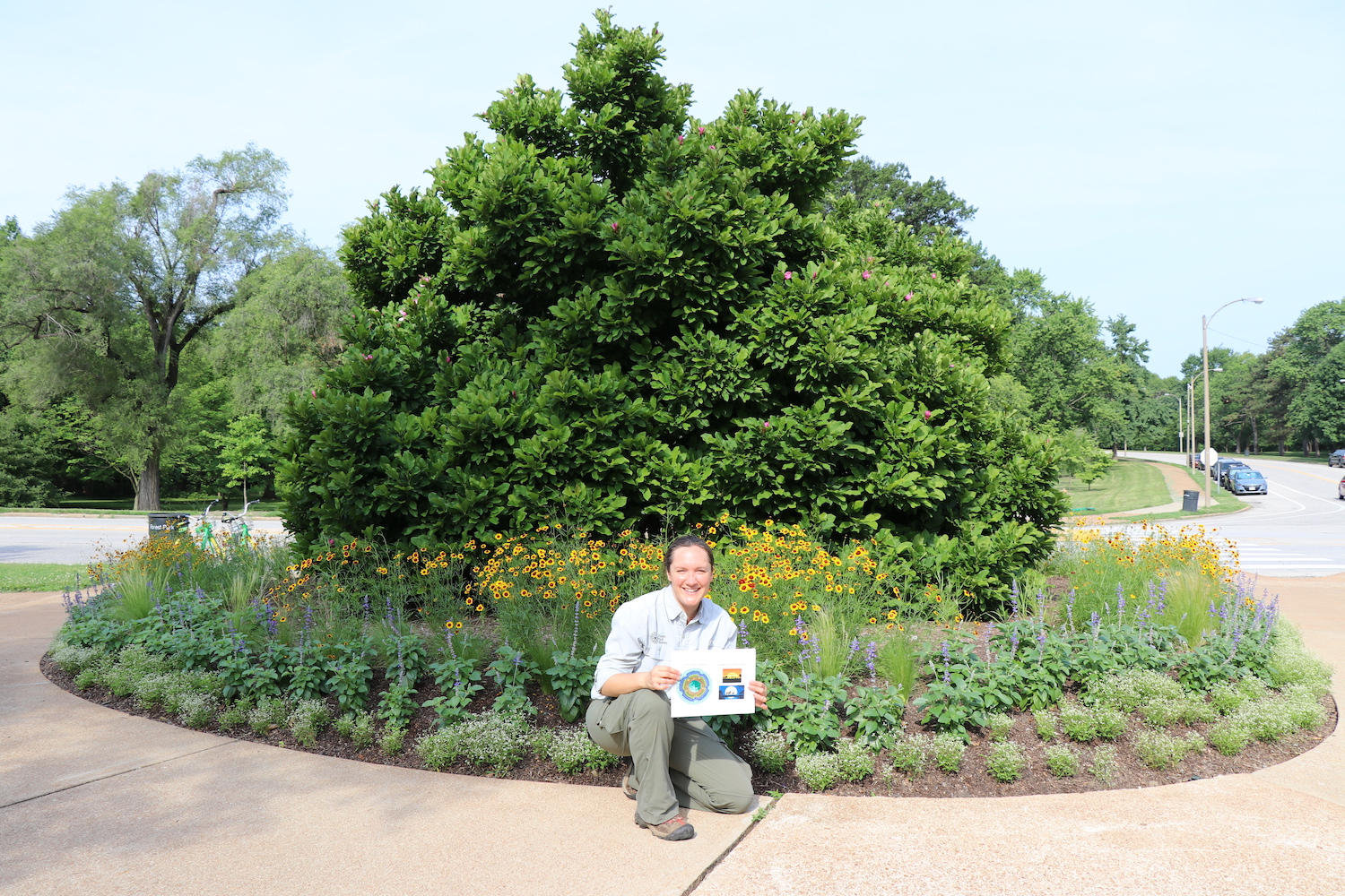 What’s the Story Behind Forest Park’s Landscape Beds? 