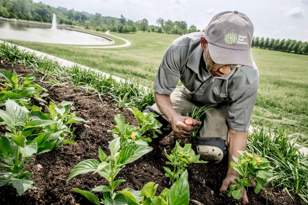 We Are Hiring  Forest Park Forever
