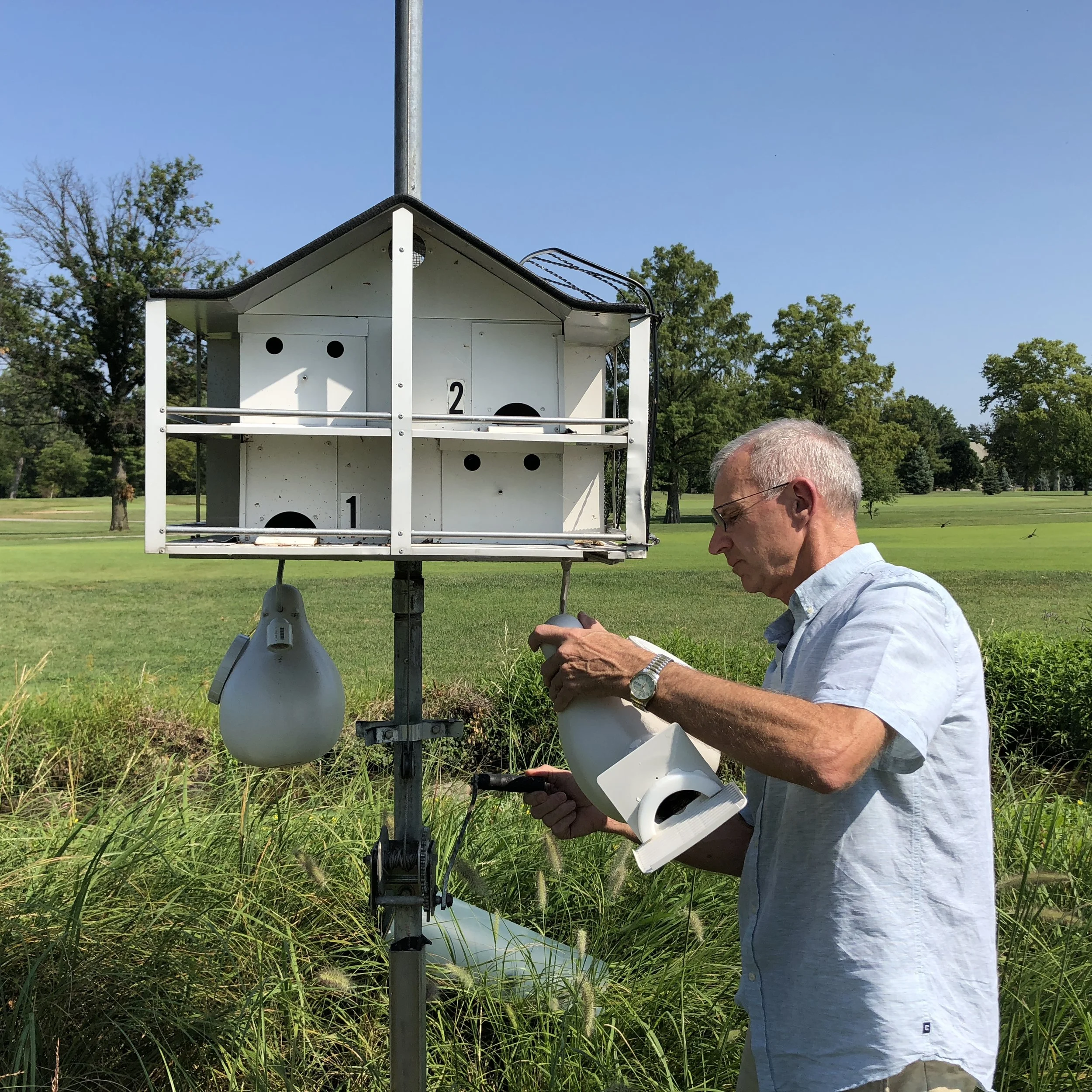 Flight Plan: John Miller’s Passion for Purple Martins and Forest Park