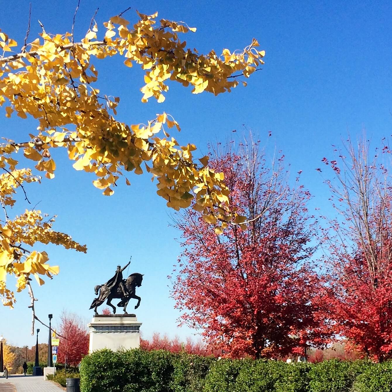 Fall in Forest Park