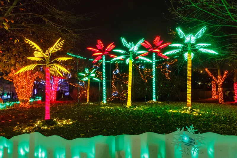 U.S. Bank Wild Lights_Jungle_Roger Brandt Saint Louis Zoo_web-2.jpg