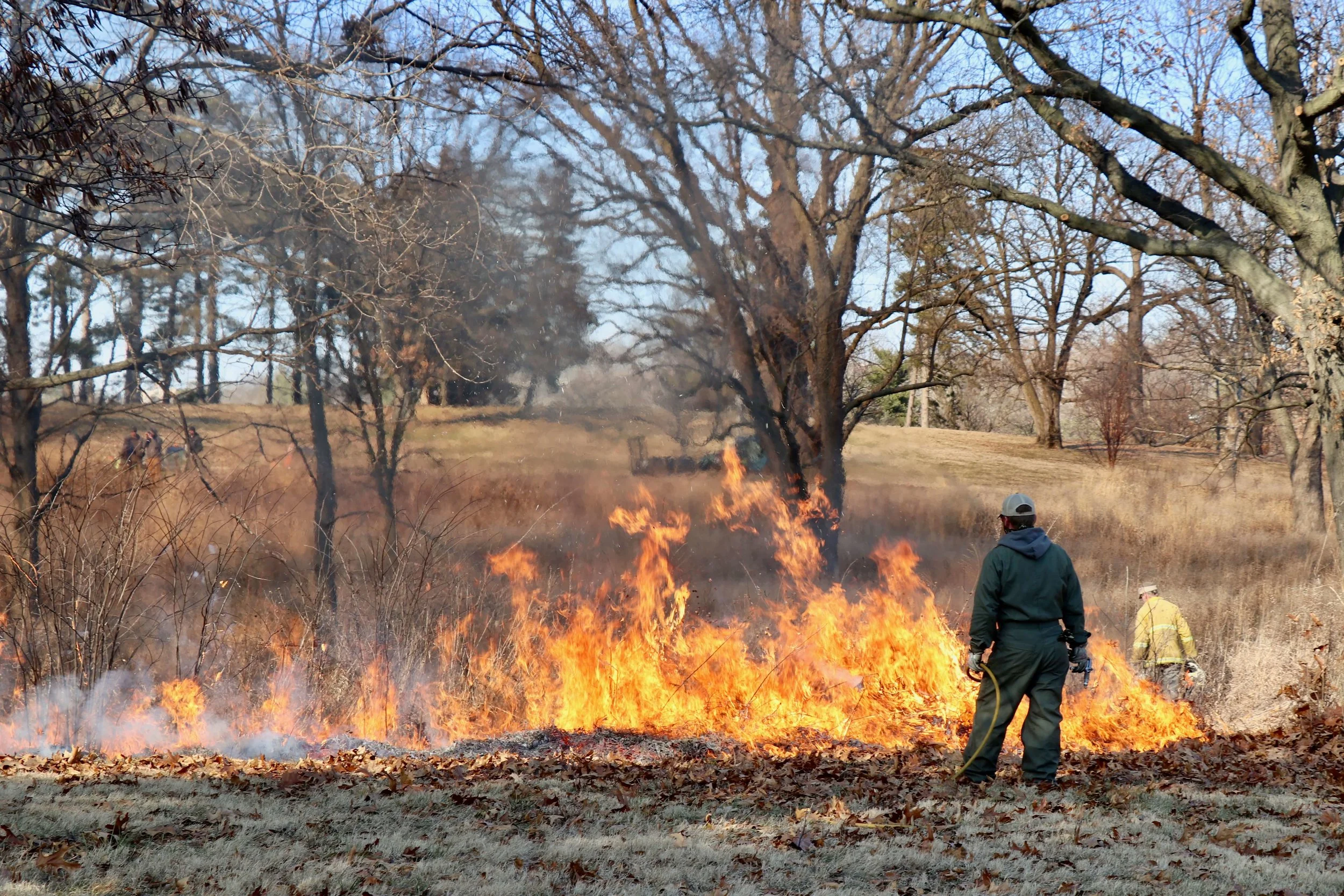 CONTROLLED BURNS Completed prescribed burns of 13 acres — including, as pictured, in February — to help control the negative impacts of invasive and exotic species, enabling an influx of nutrients to reach the soils now that previous dead vegetation debris has been burned away and sunlight can reach the soil more readily.
