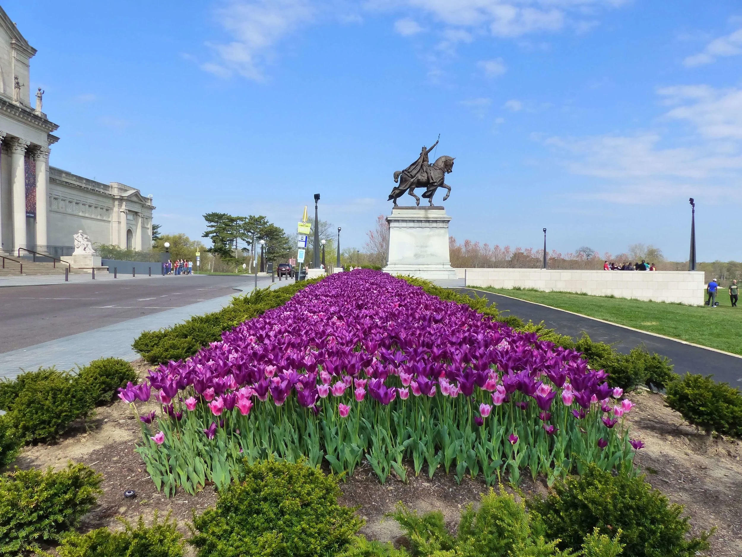 Art Hill Daffodils and various colors of tulips fill the beds surrounding the Apotheosis of St. Louis statue . The top of Art Hill is also lined with blooming crabapples this time of year — take a stroll through them.