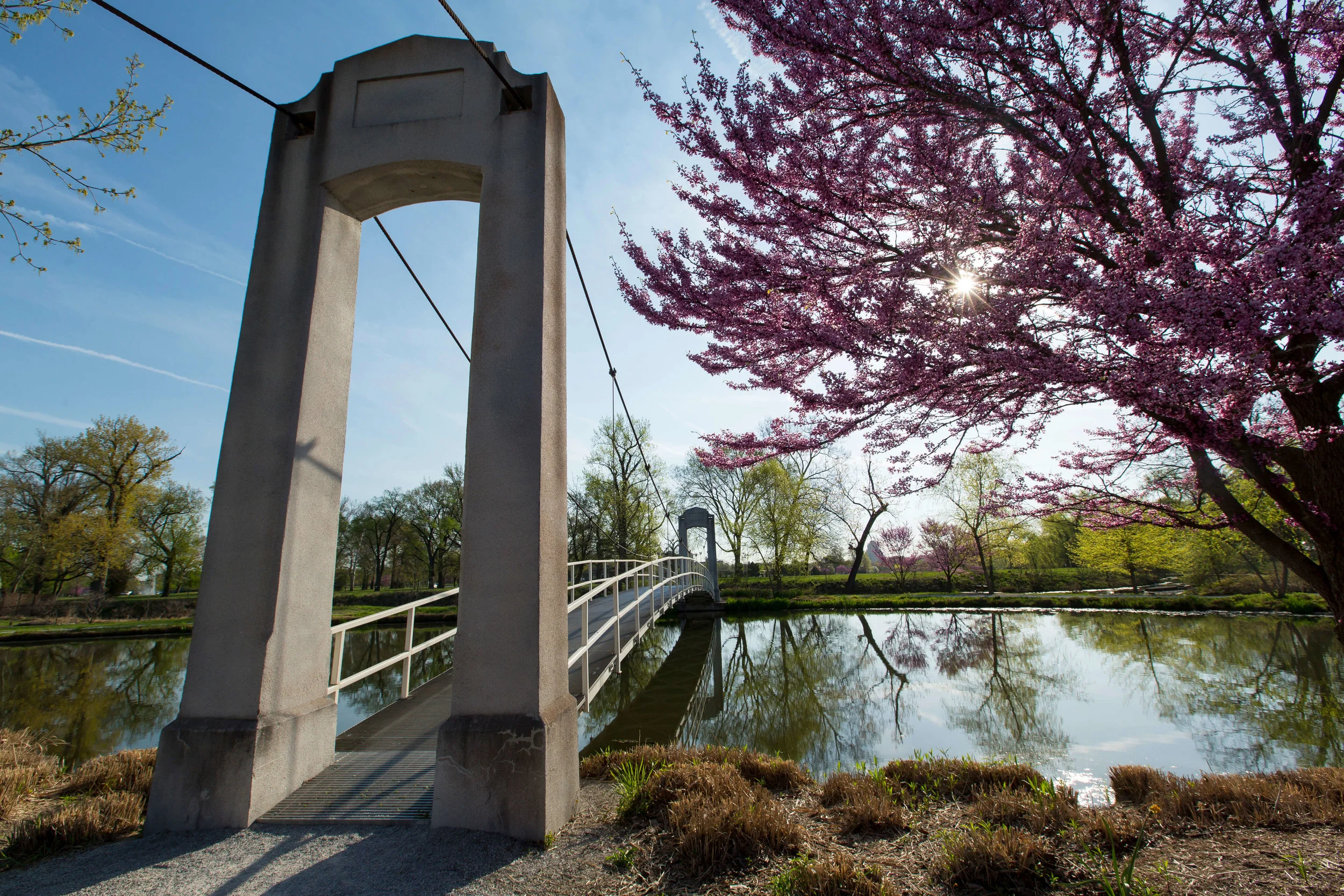 Post-Dispatch Lake Loop (Suspension Bridge) As you pass the Post-Dispatch Lake Riffles, don’t miss an epic photo op of cherry blossoms framing the Suspension Bridge . Let your sense of smell lead you to your next destination … Pass Picnic Island and make a left at the bridge crossing the Emerson Grand Basin . Continue down the chat path until you reach Government Drive, and the Spanish bluebells (passing the World’s Fair Pavilion ) will guide you to your beginning at the Boathouse in Forest Park.