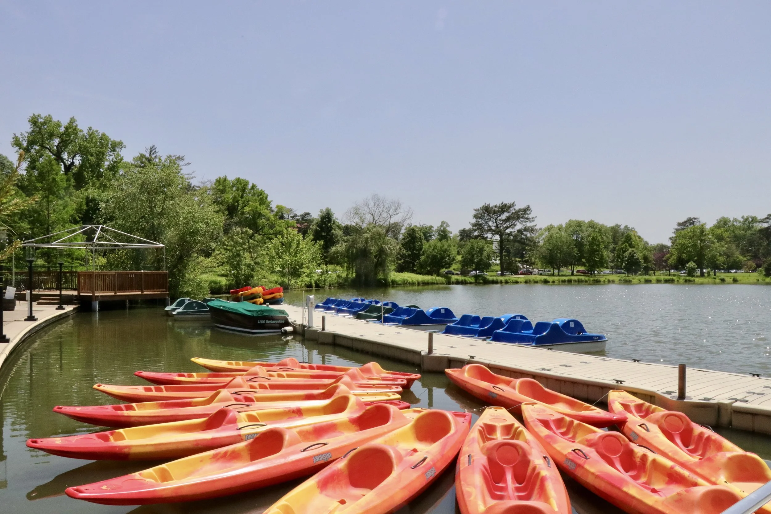 Why the Boathouse in Forest Park Should Make Your Summer Bucket List