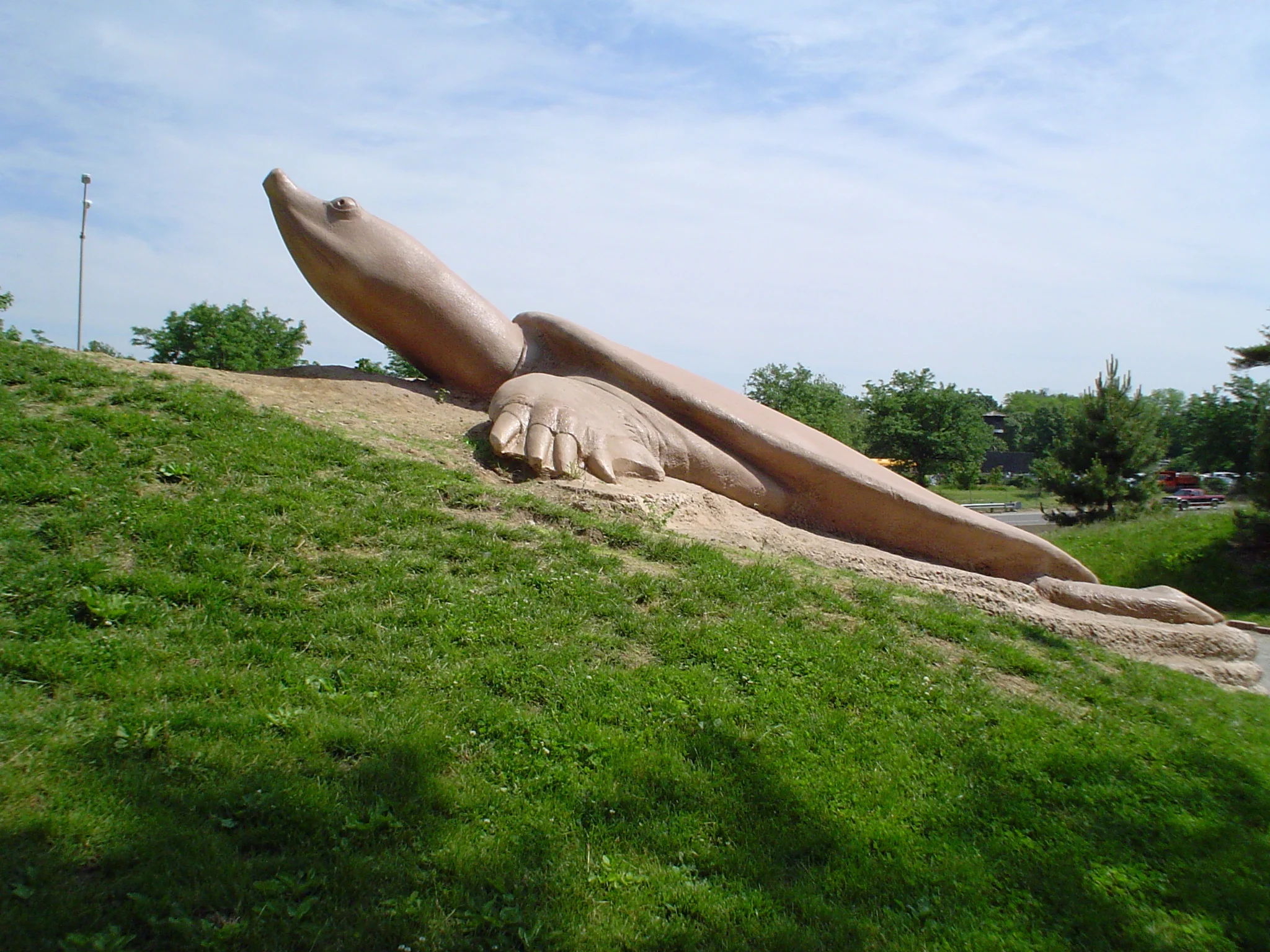 2 . Turtle Playground is in Forest Park.