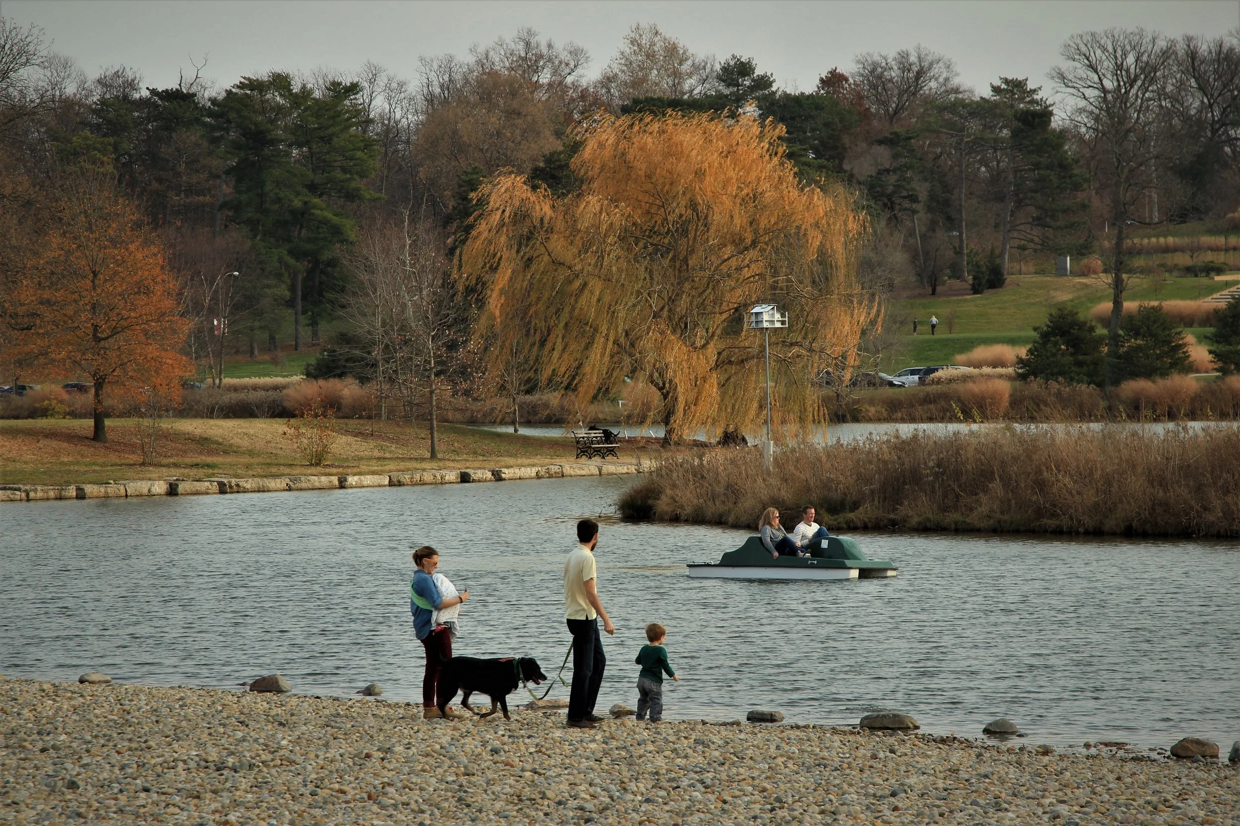   3.  There are  six lakes  in Forest Park: Round Lake, Murphy Lake, Post-Dispatch Lake, Bowl Lake, Deer Lake and Jefferson Lake surround the Park. Explore them  here . 