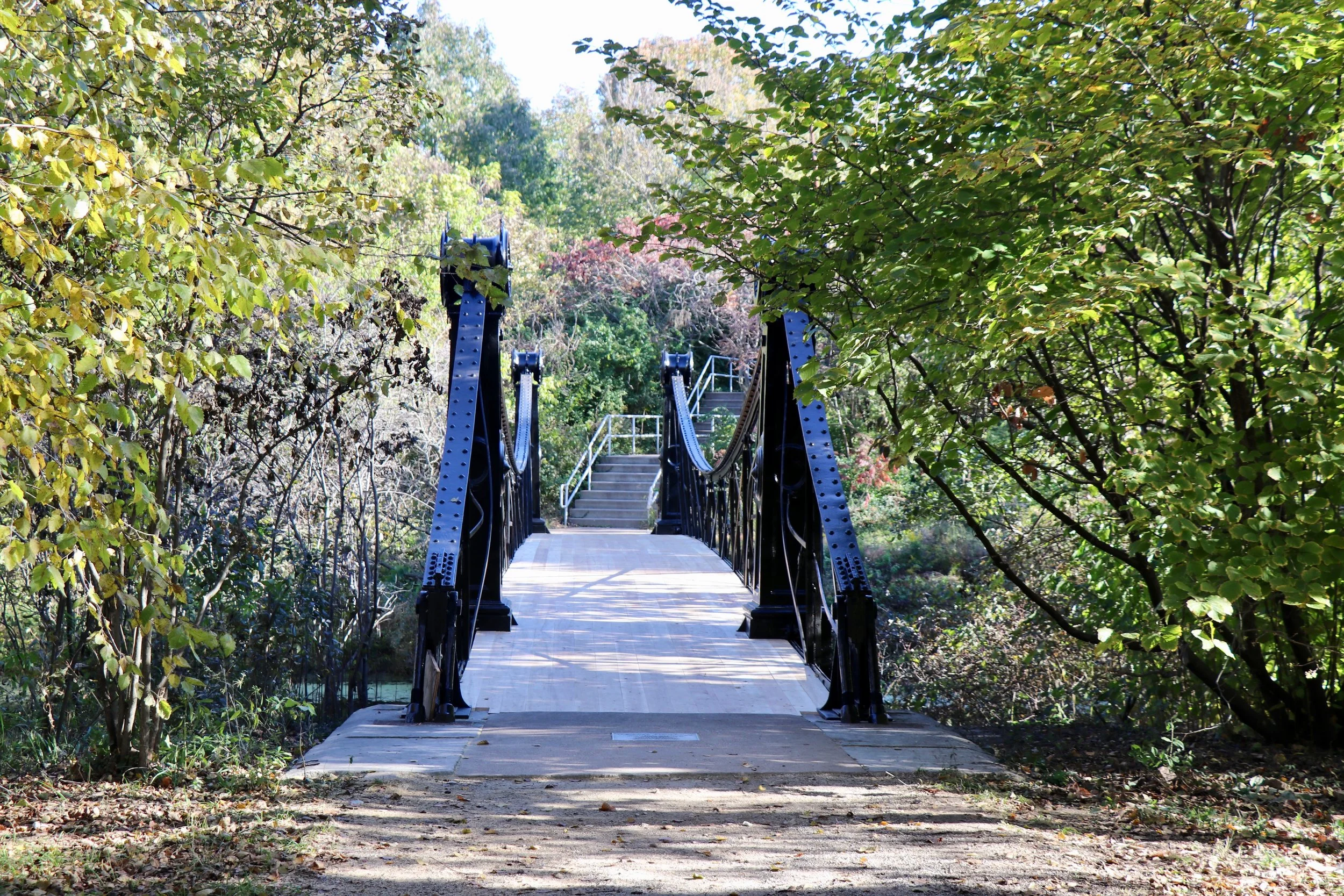 6. There is an eastern witch hazel Missouri state champion tree right here in the Park. It is located in front of the Victorian Footbridge (pictured on the right).