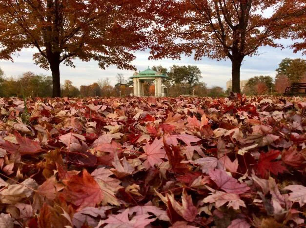 The Nathan Frank Bandstand and Pagoda Circle