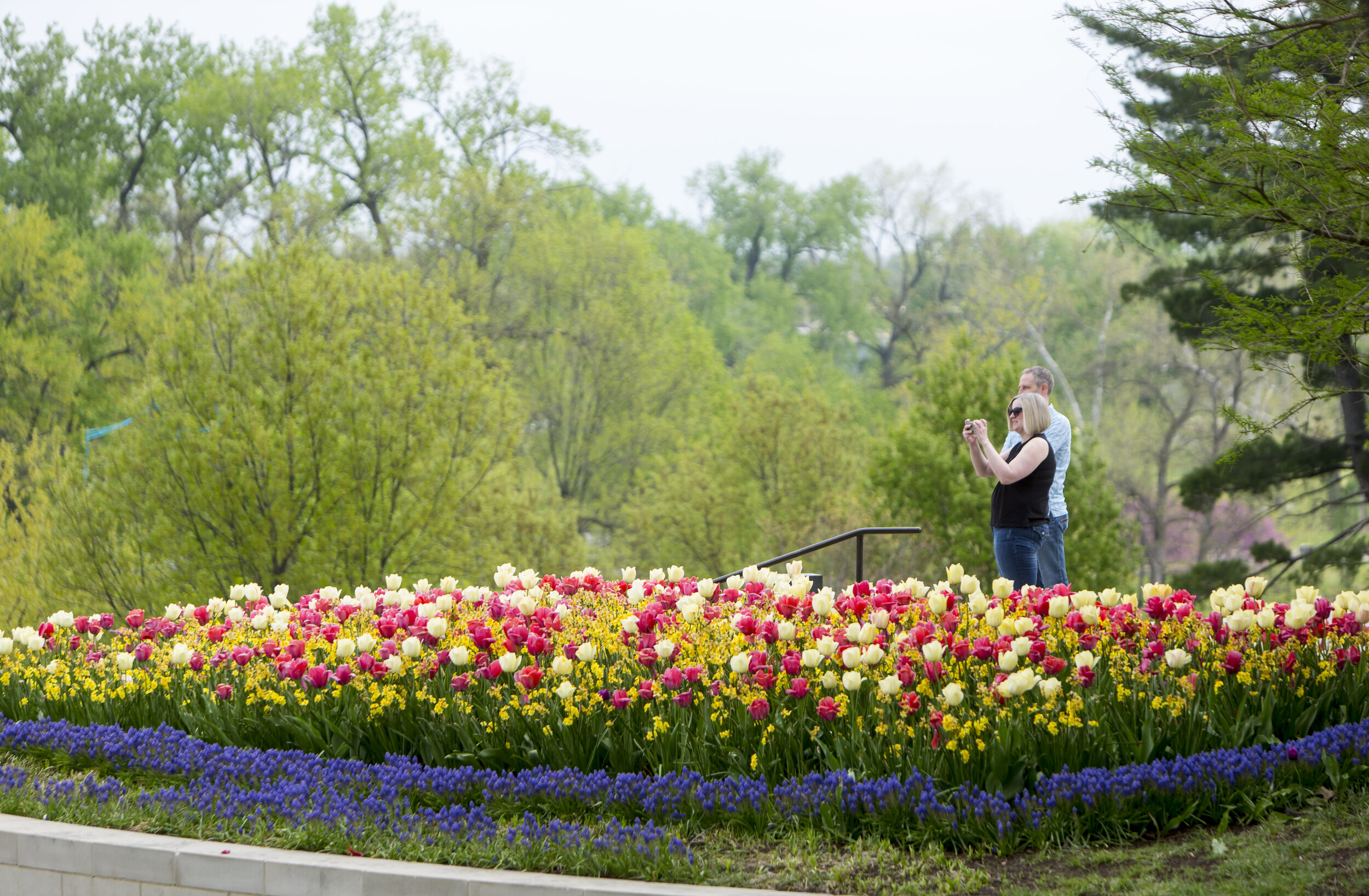 190423_naunheim_forest_park_forever_spring_060.jpg