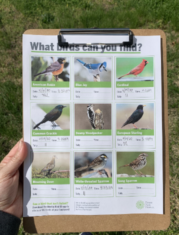 Two Bird Activities to Do With Your Family to Practice Mindfulness Right Now