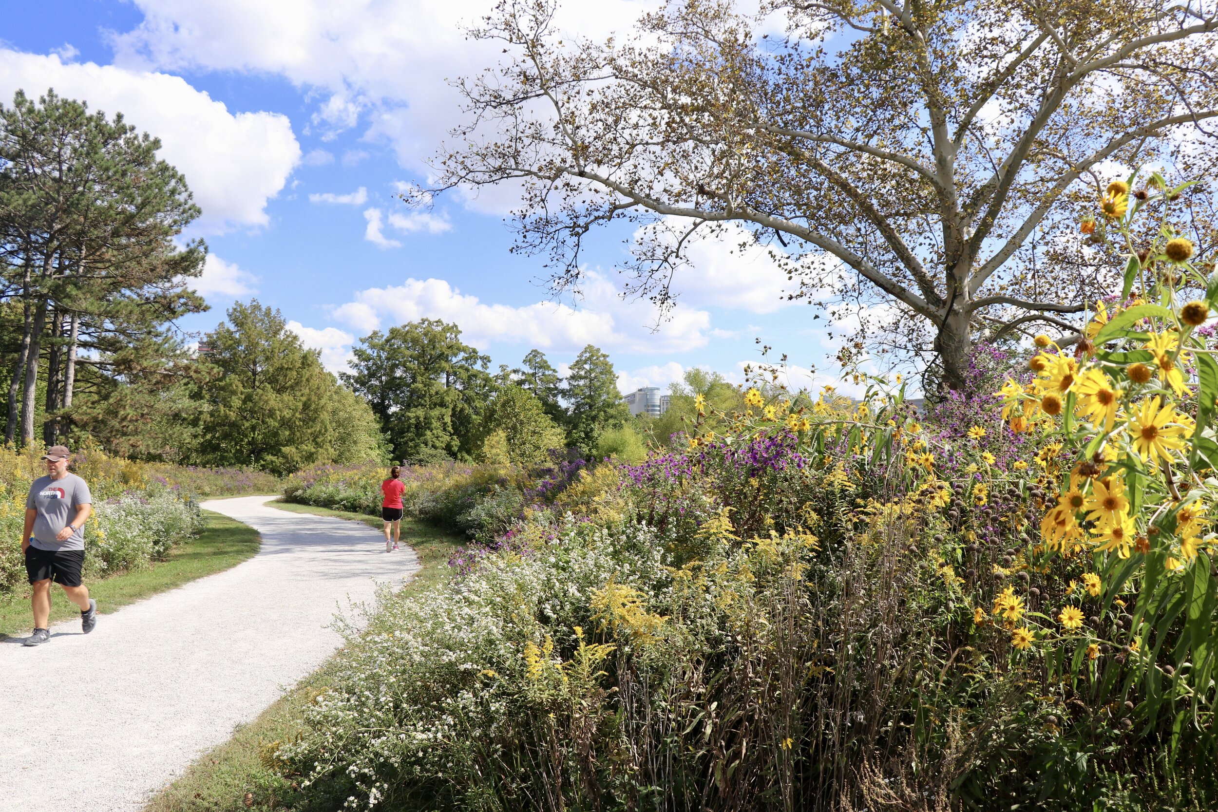5 Walks Where You Can Observe Nature in Forest Park