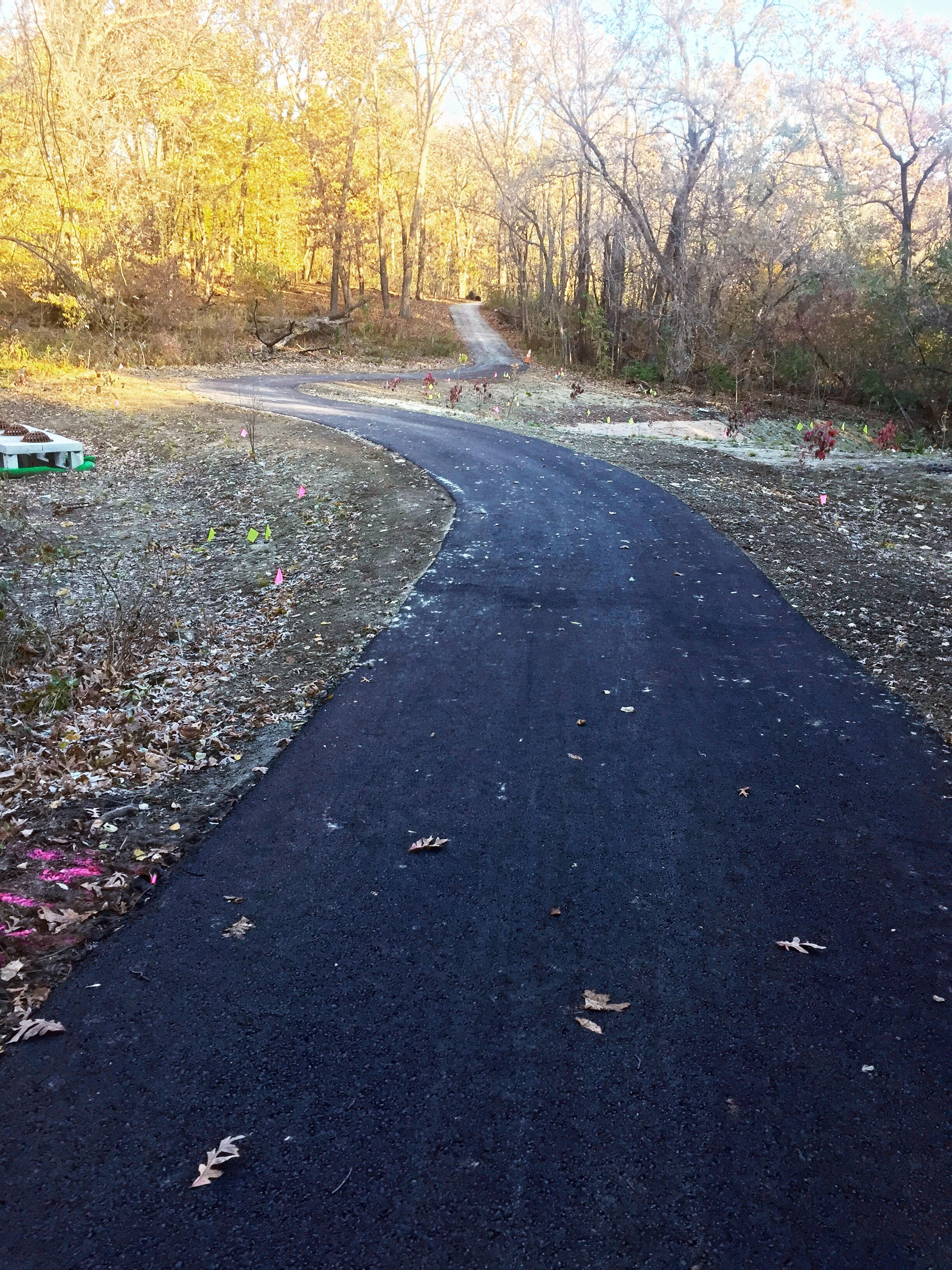 AFTER KENNEDY WOODS PATH