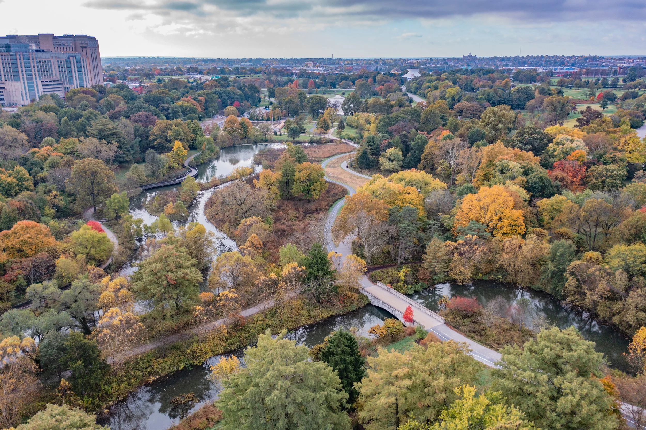 7 Spots to Watch the Magic of the Trees in Forest Park — Forest Park