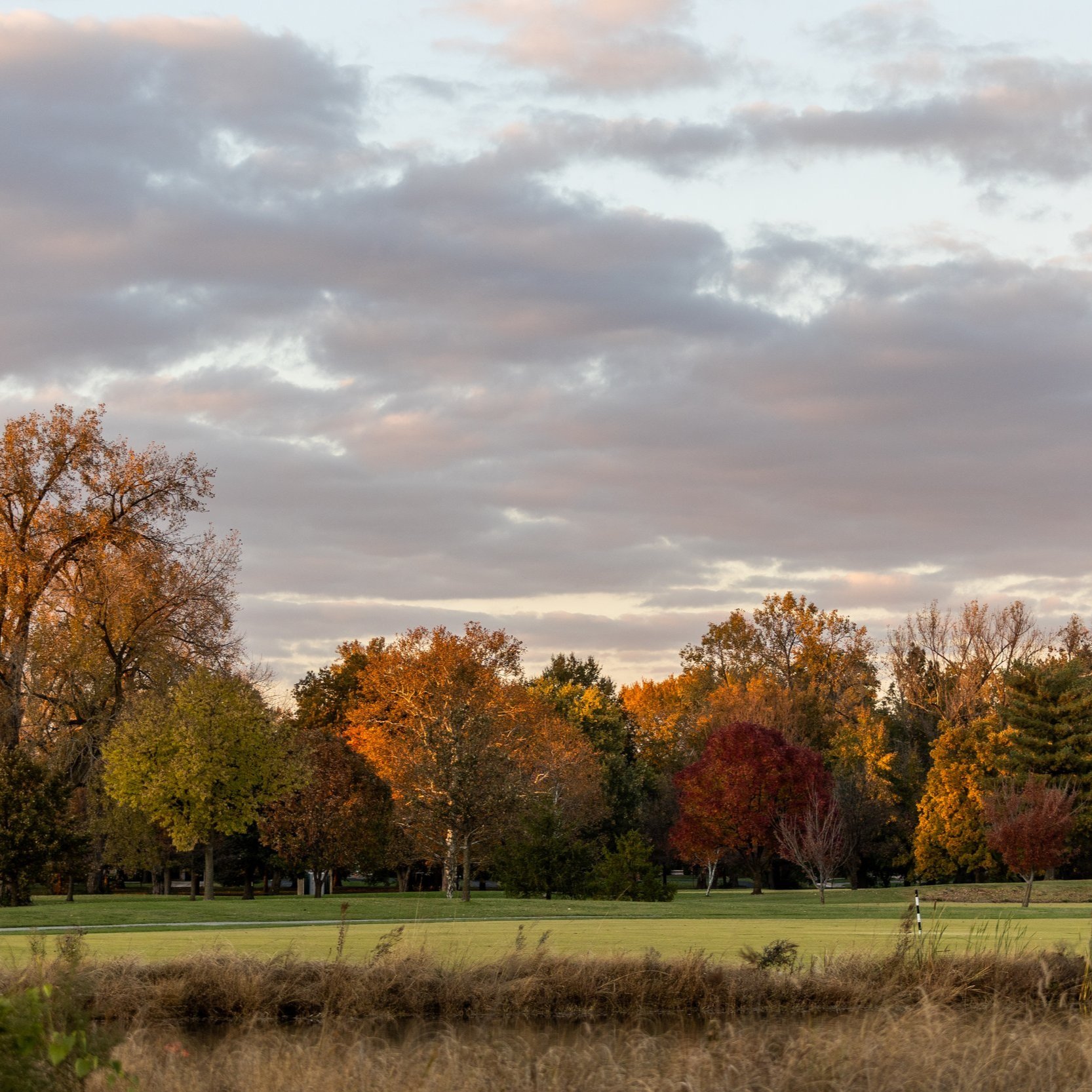 Your 2023 Seasonal Guide to Fall in Forest Park — Forest Park Forever