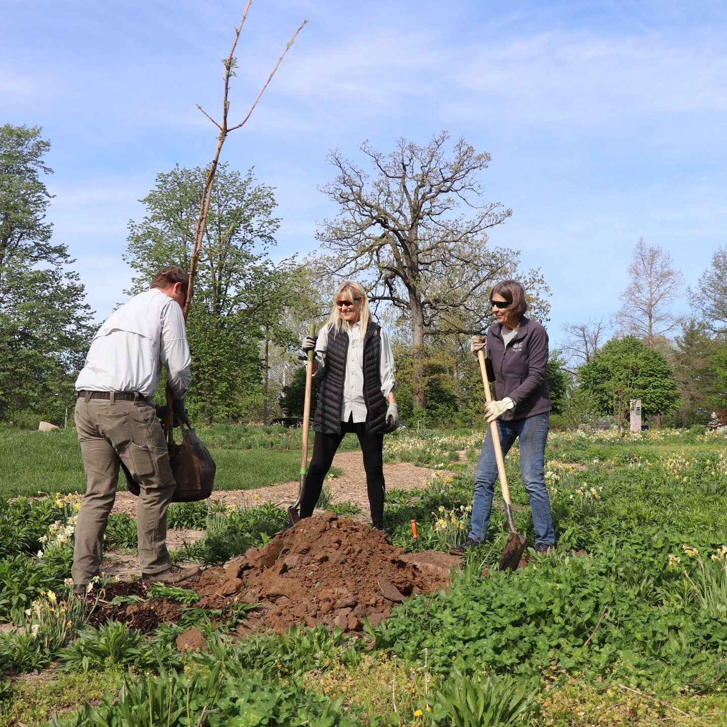 Our conservancy chairs valuable expertise and our teams spend countless hours...
🌳 planting 348 trees &gt;&gt; 
🌱 stewarding 194 acres of Nature Reserve &gt;&gt;
🌻 maintaining 995,000 square feet of landscape beds &gt;&gt;
🌷 planting 100,050 flow