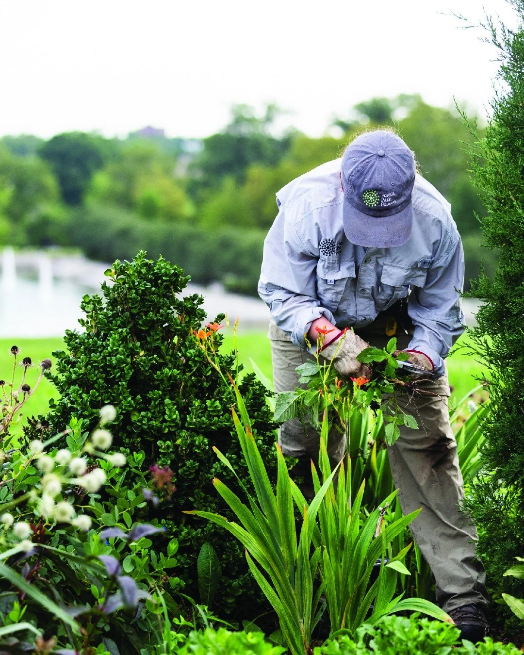 I am a nonprofit conservancy. 🌲

I am restoring Forest Park after the May 16 tornado with community support. ❤️ 

I partner with @stlcitygov and @stlparks.recreation.forestry to maintain Forest Park. 🤝

I work with @explorestlouis to welcome visito