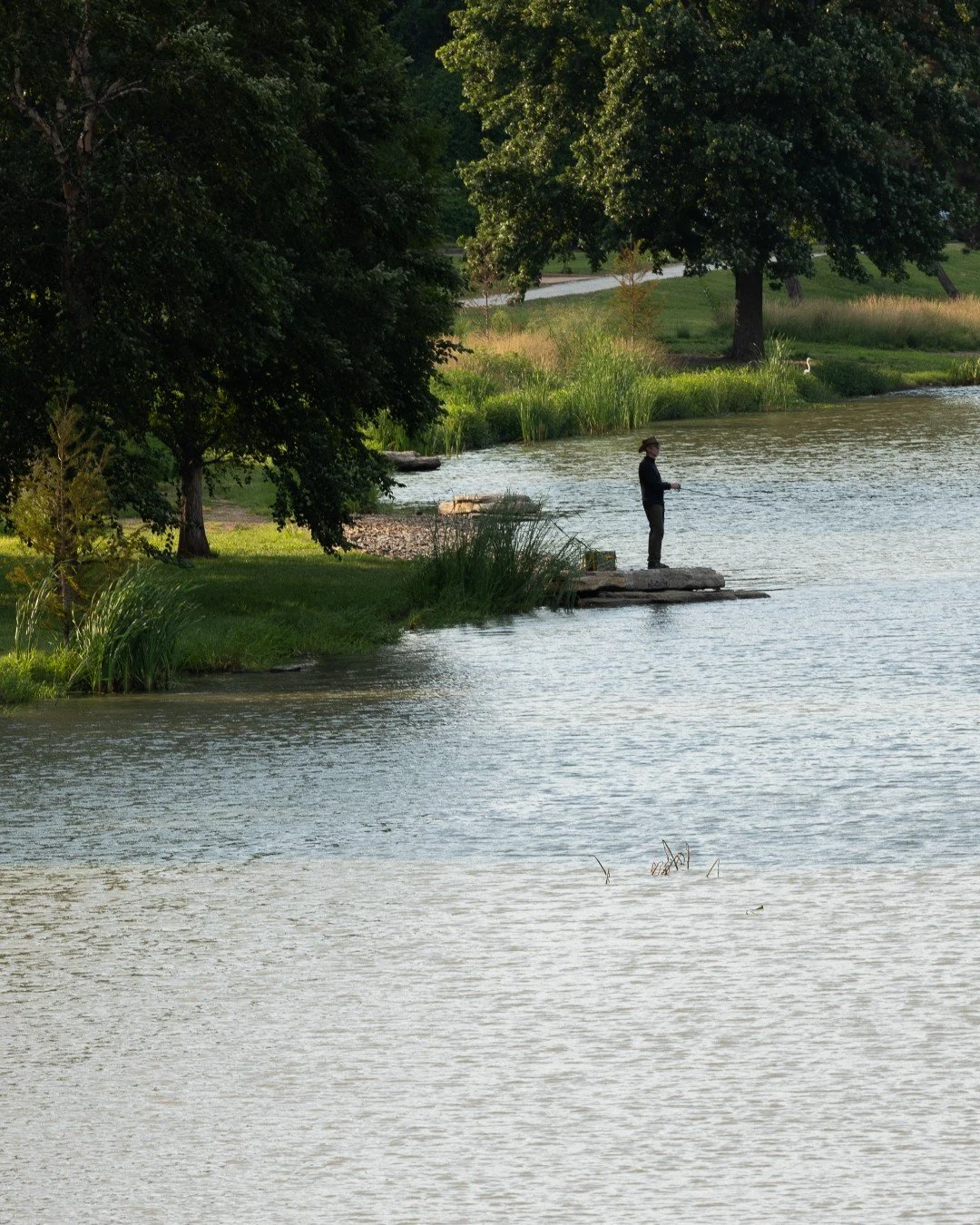'Tis the season 🐟 and Jefferson Lake has been restocked with trout! Thanks @moconservation 🎣 
A valid Missouri fishing license is required and statewide limits apply if fish are kept. 

#ForestParkForever #ForestParkStL #ForestParkStLouis #ForestPa