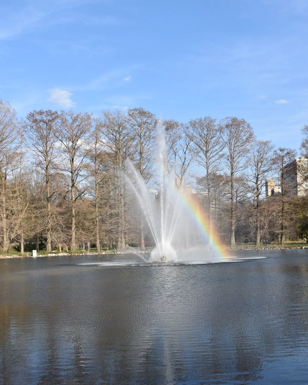Beautiful in every season 🌈 ⛲ This historic fountain in Forest Park was restored as part of a decades-long vision to improve waterways. ⚜️ The Round Lake fountain dates back to 1916 and was refurbished in 2024 with new plumbing and supply lines amon