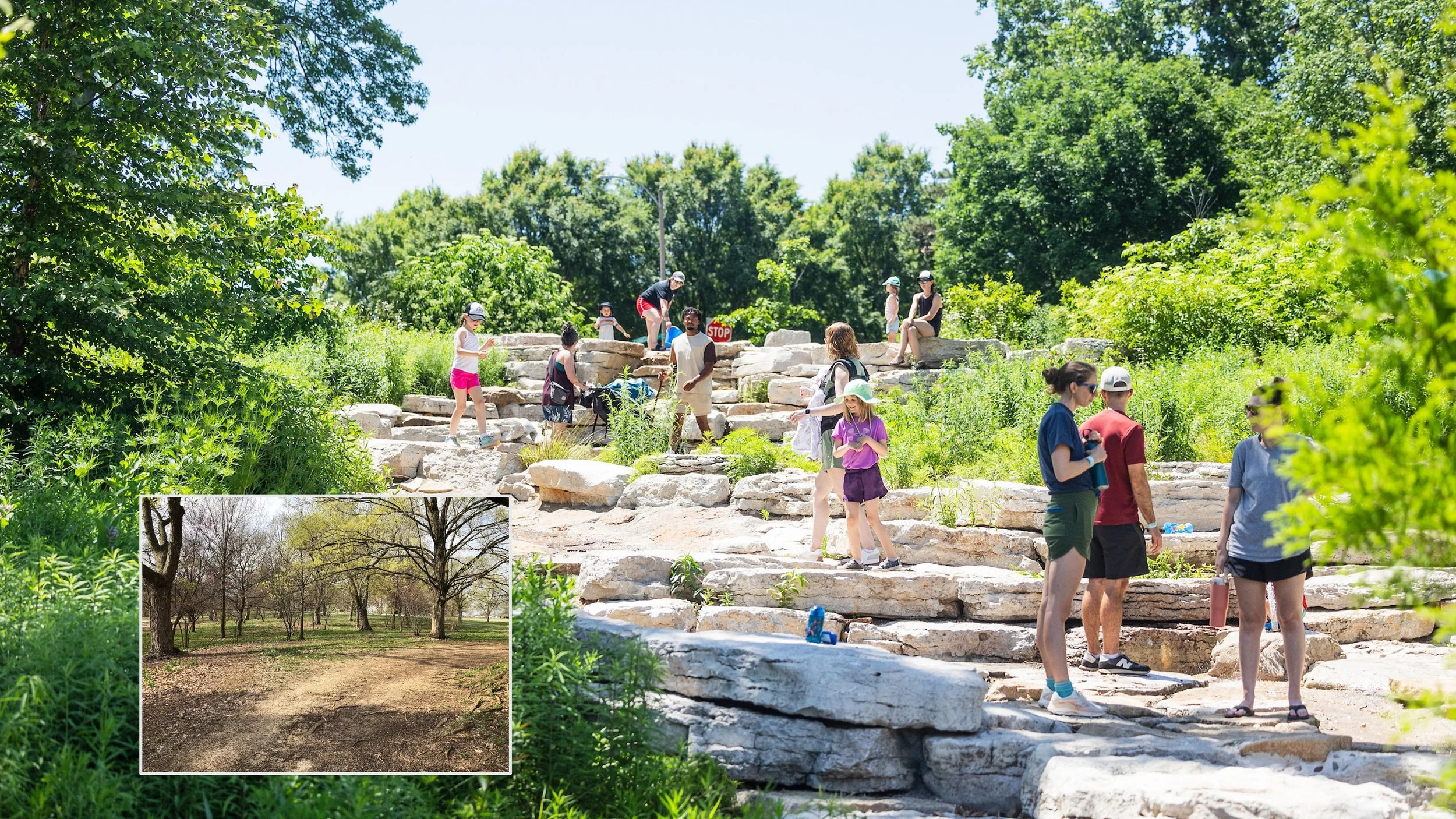 Anne O'C. Albrecht Nature Playscape
