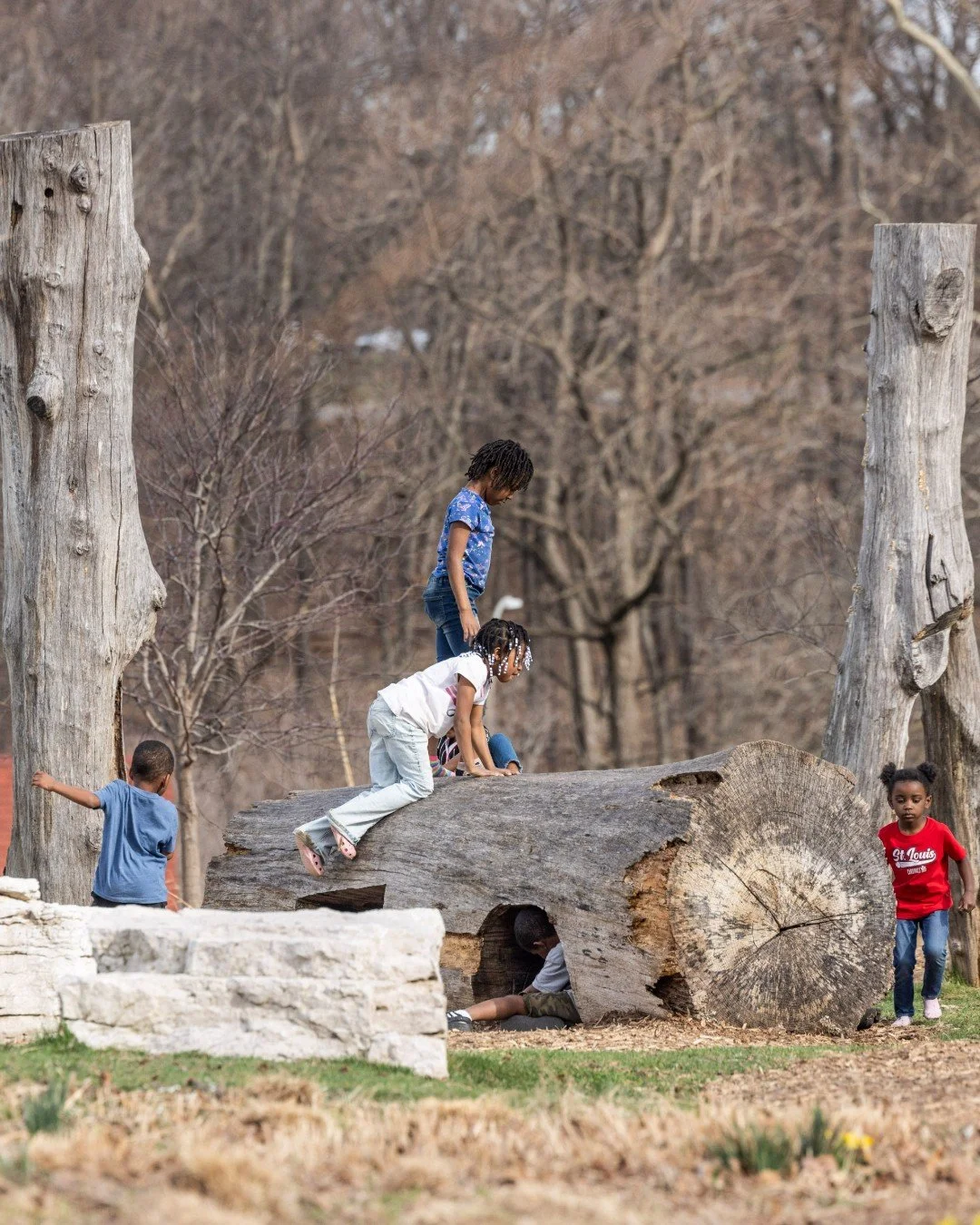 Oh to be a kid again. Just for today! Can someone bring us to Forest Park, please? ☀️ You can link in our bio for a map to Find Your Way Around the Park when we get there. https://www.forestparkmap.org