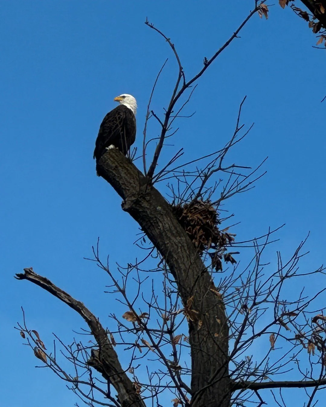 We are ready to lock into 2026 like 🦅