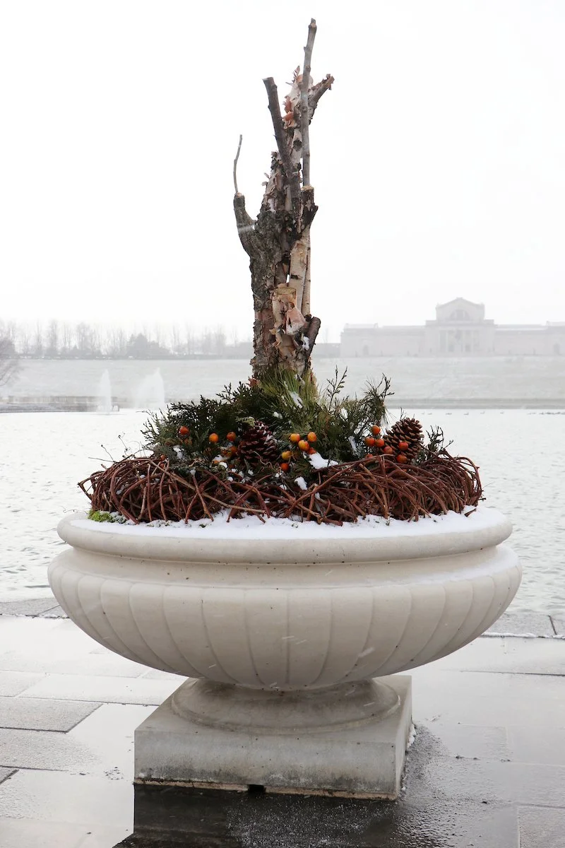 Creating Winter Wonder in Forest Park