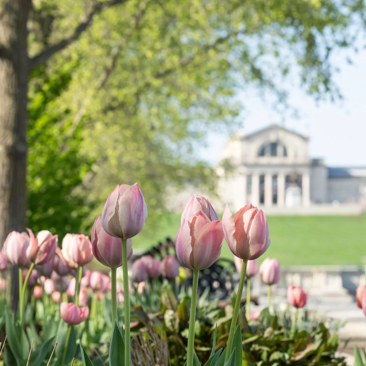 (Opening Date) Visions of Antiquity