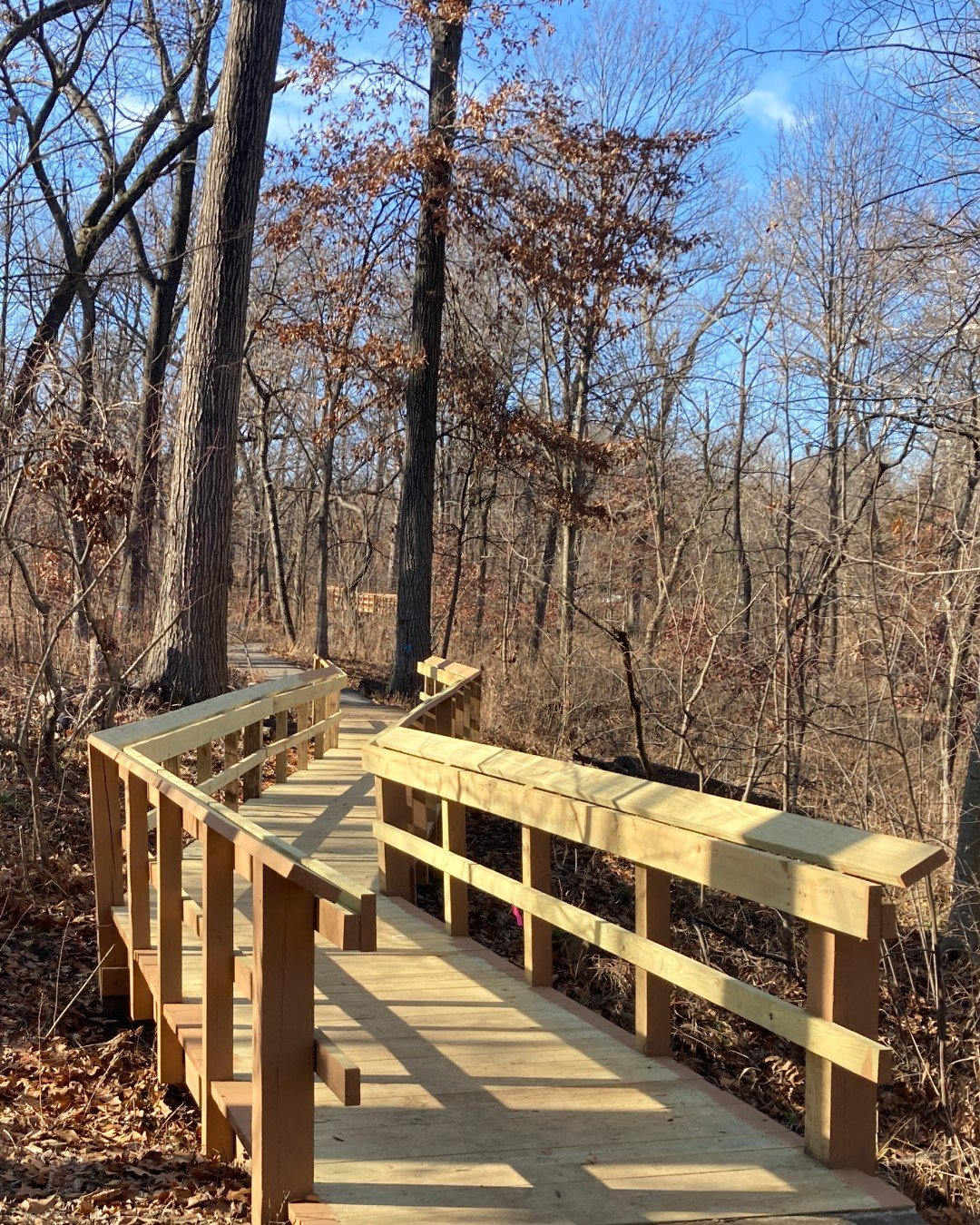 The Kennedy Forest Boardwalks are open!

Forest Park was in the path of a tornado that devastated our region last spring. Fallen trees and branches damaged sections of this mile-long loop of wooden boardwalks in Kennedy Forest. Swipe to see our progr
