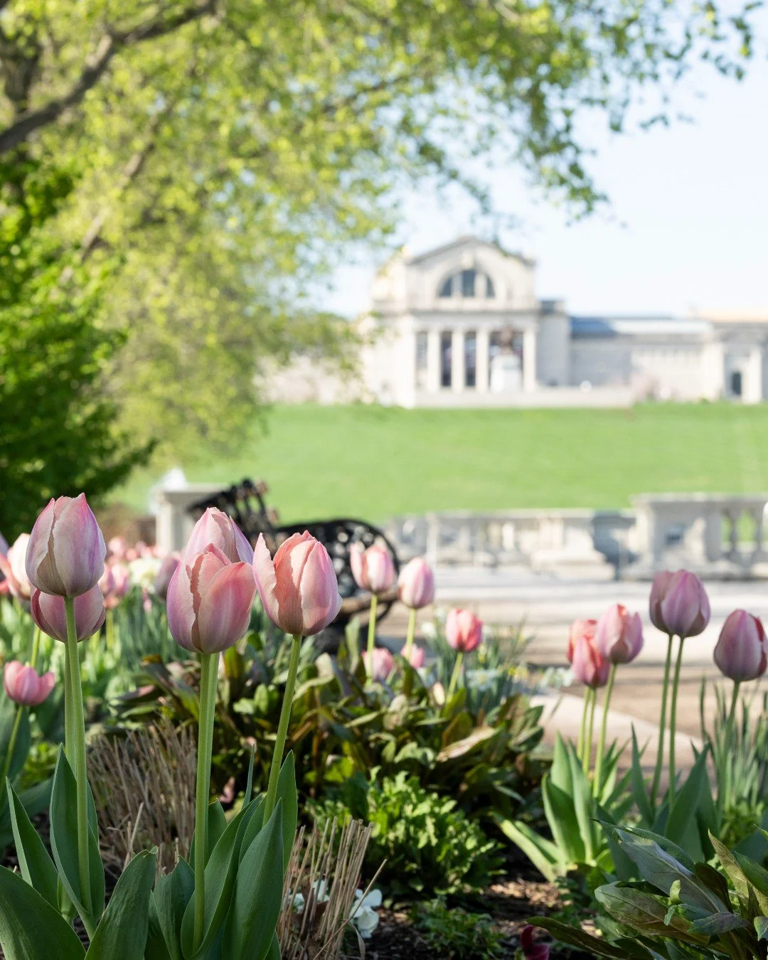 Art in Bloom is coming up soon! The annual celebration of flowers and fine art returns to the @stlartmuseum February 27 through March 1.

Dozens of works in the Museum's collection are interpreted by talented florists and will be on display throughou