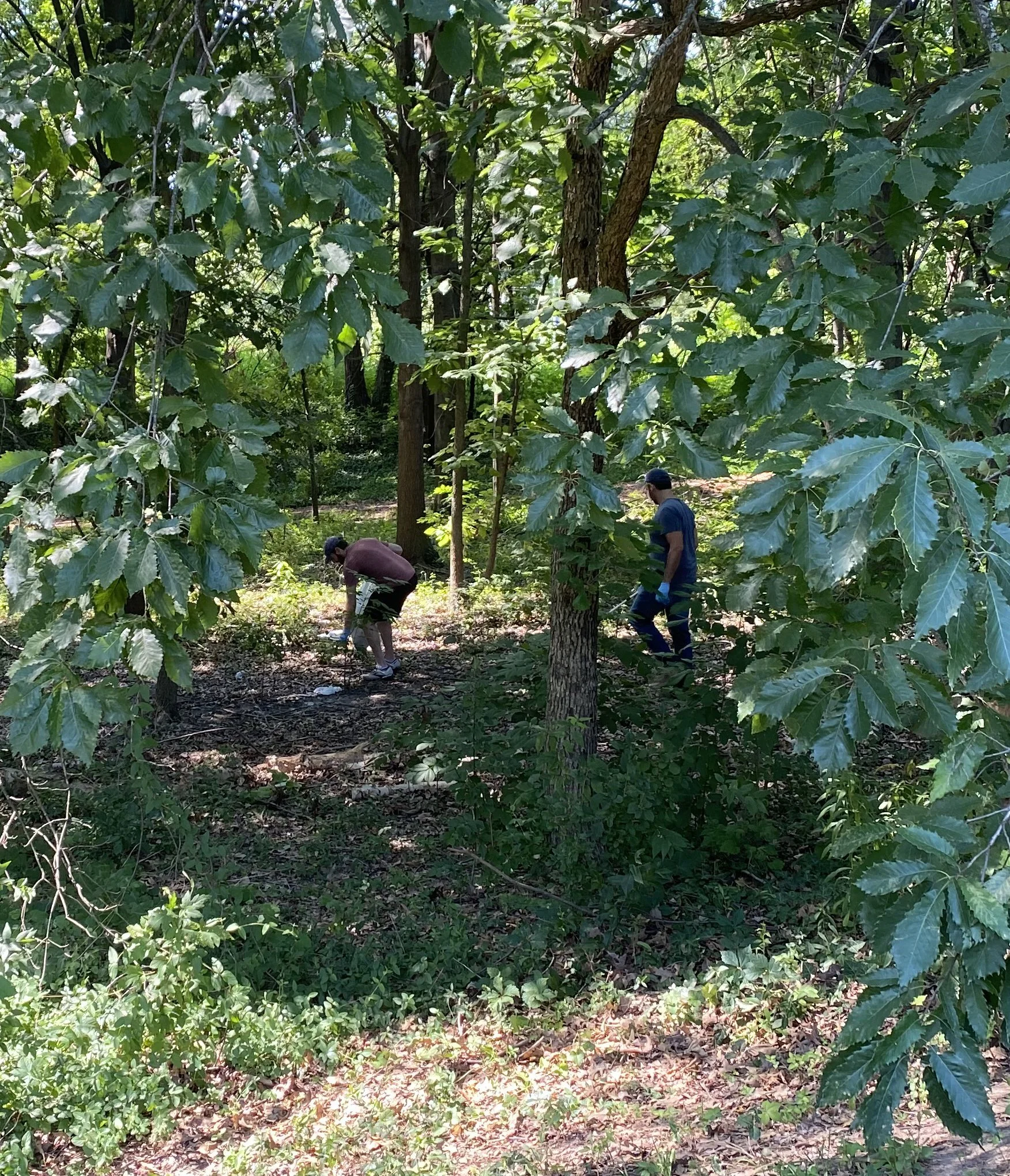 Trash &amp; Trails Volunteer Opportunity