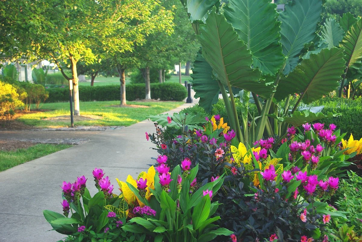 Floral displays near the Boathouse
