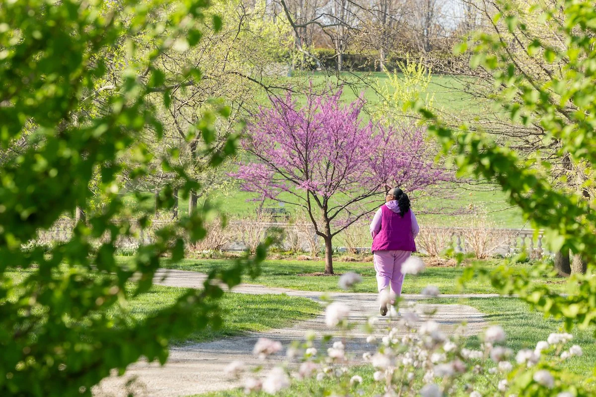 Walking amid spring blooms